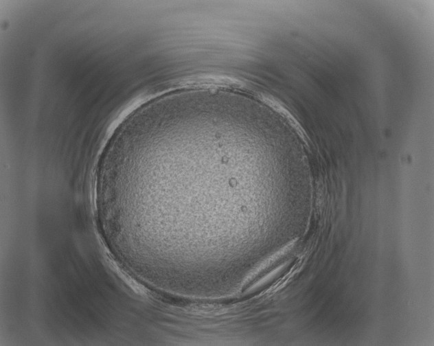 X0000082721083200702091807