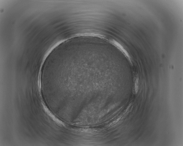 X0000082721084200702091807