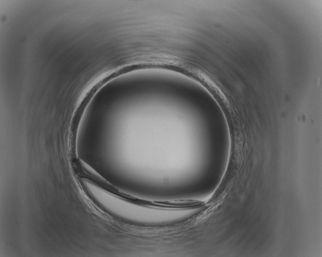 X0000082721085200702091806