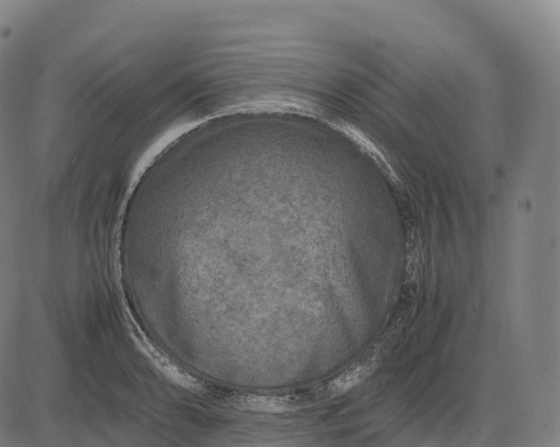 X0000082721086200702091806