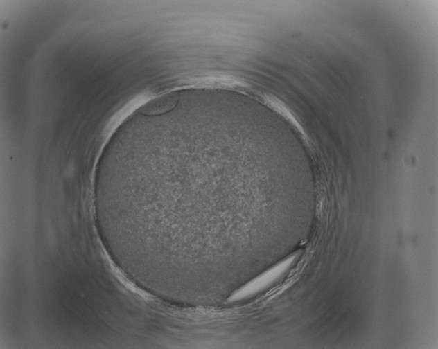 X0000082721087200702091806