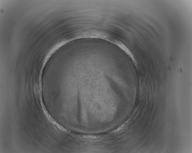 X0000082721088200702091806