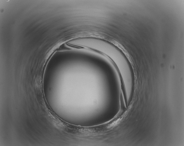 X0000082721089200702091806