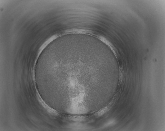 X0000082721090200702091806