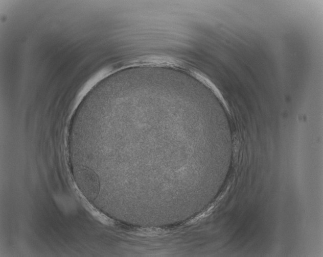 X0000082721091200702091806