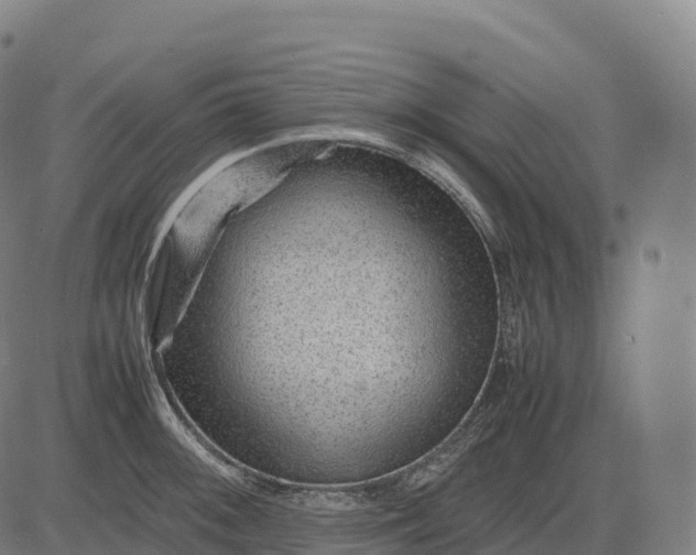 X0000082721092200702091806