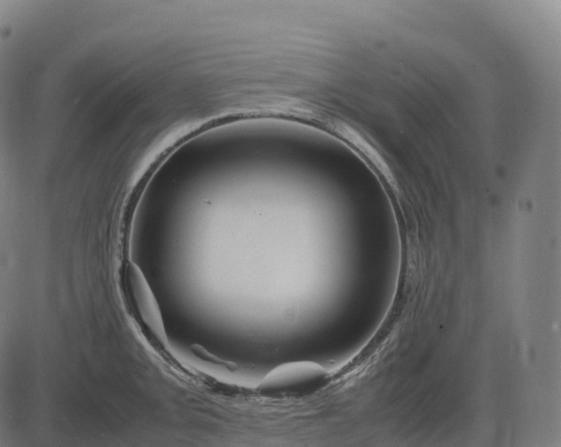 X0000082721093200702091806