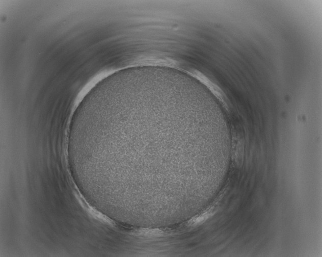 X0000082721094200702091806