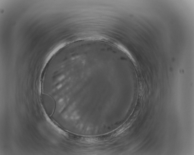 X0000082721095200702091806