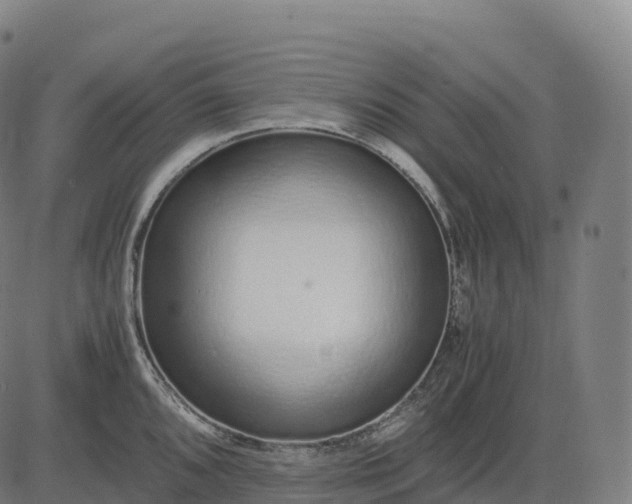 X0000082721096200702091806