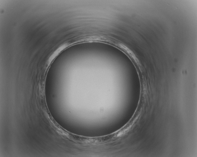 X0000082721097200702091806