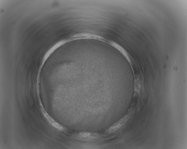 X0000082721098200702091806