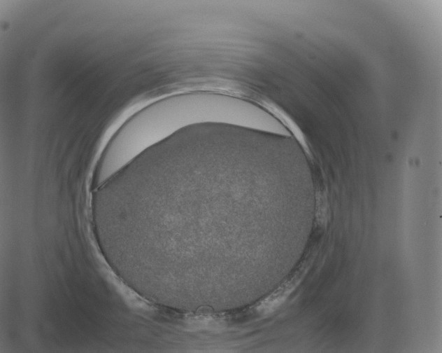 X0000082721099200702091806