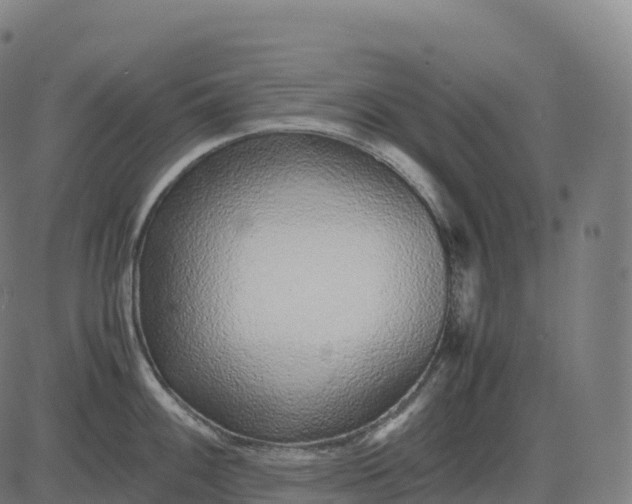 X0000082721100200702091806