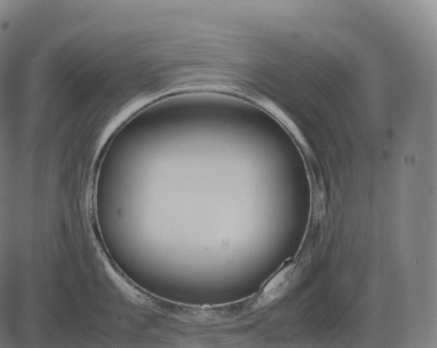 X0000082721101200702091806