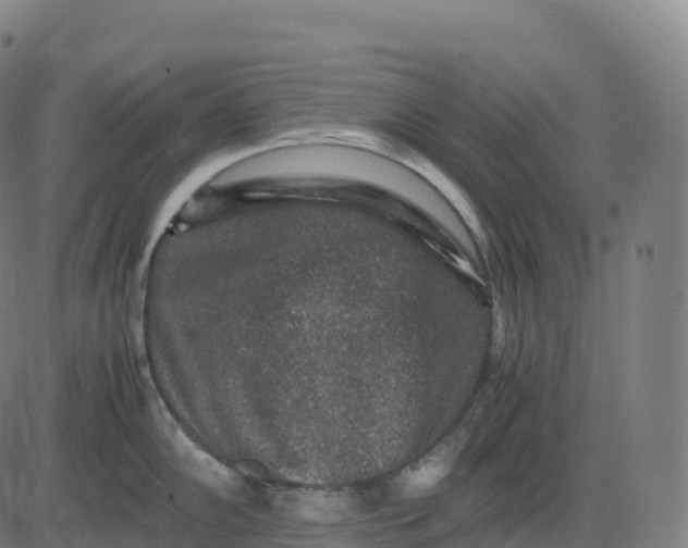 X0000082721102200702091806