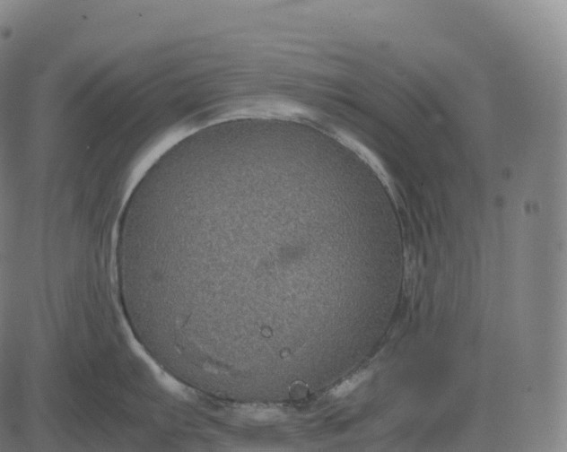 X0000082721103200702091806