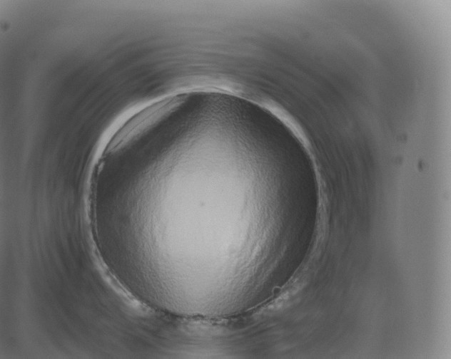 X0000082721104200702091806