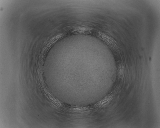 X0000082721105200702091805