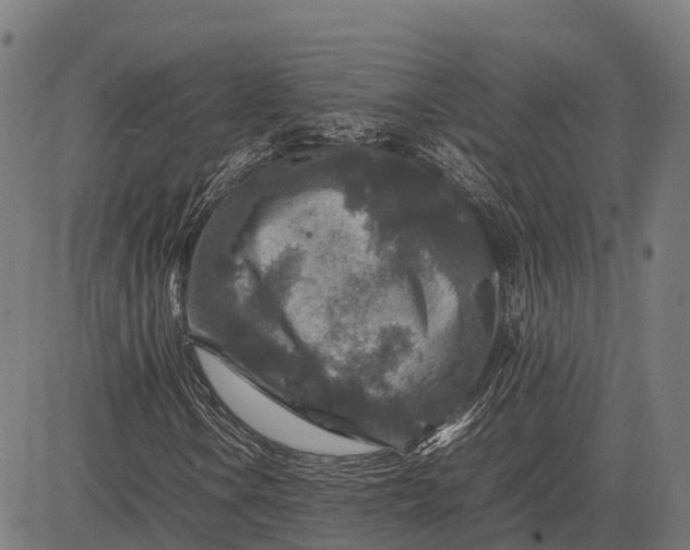 X0000082721106200702091805