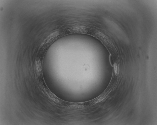 X0000082721107200702091805