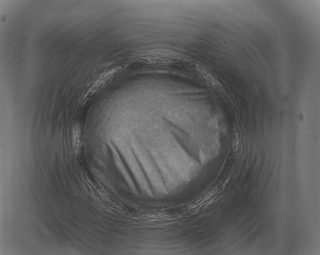 X0000082721108200702091805