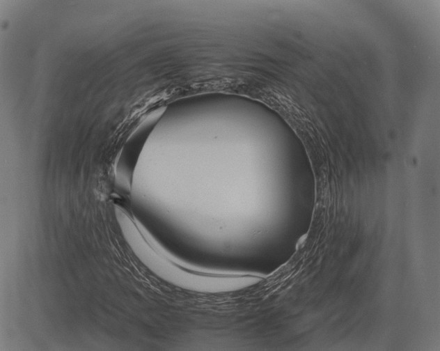 X0000082721109200702091805