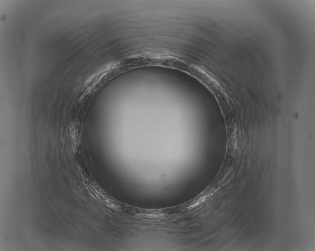 X0000082721110200702091805