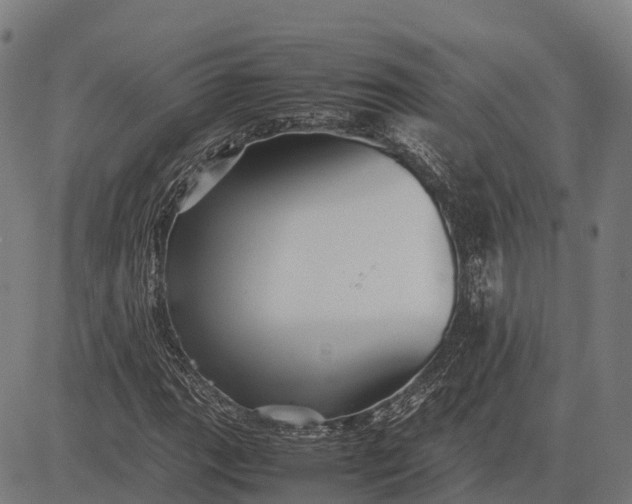 X0000082721111200702091806