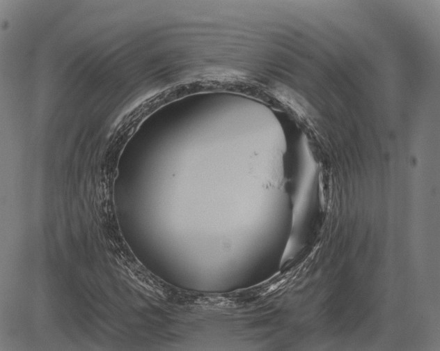 X0000082721112200702091806