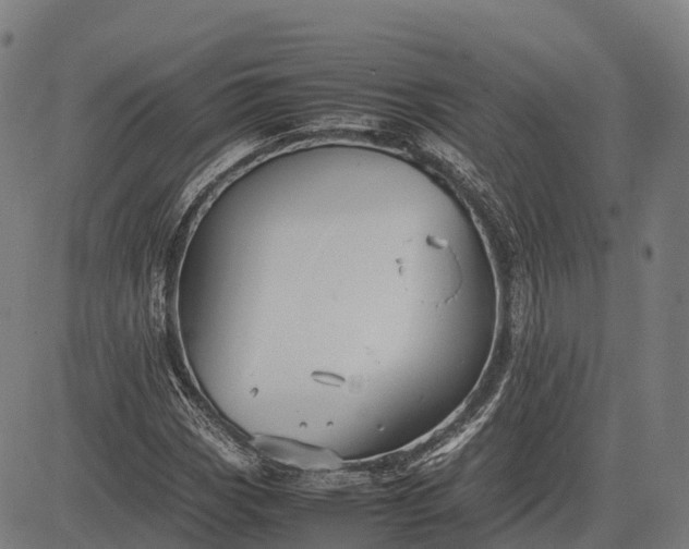 X0000082721113200702091806