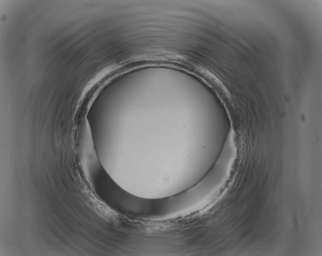 X0000082721114200702091806