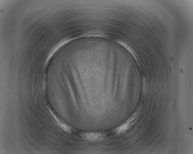 X0000082721115200702091806