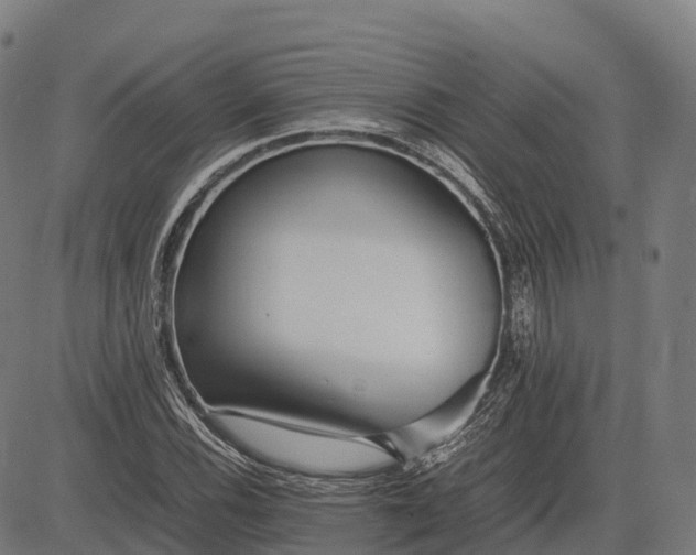 X0000082721116200702091806