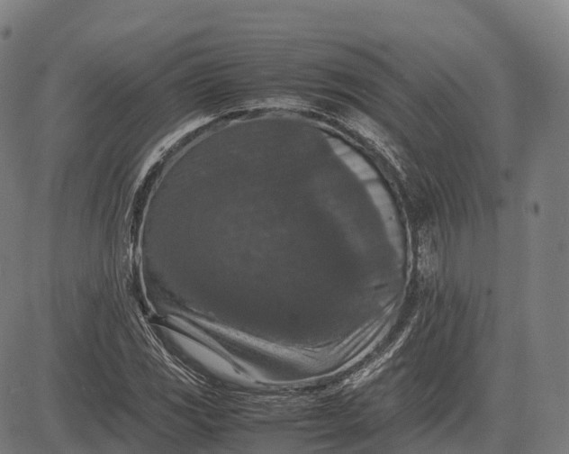 X0000082721117200702091806