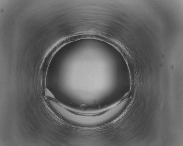 X0000082721118200702091806