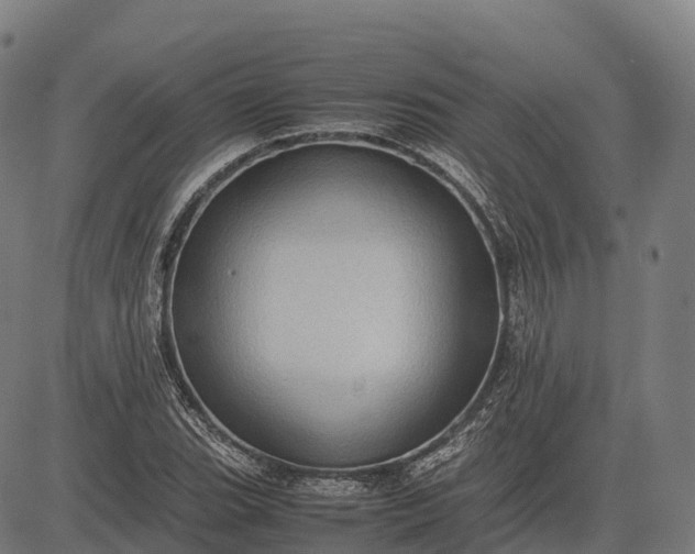 X0000082721119200702091806