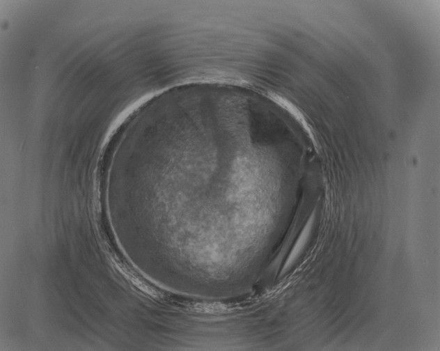 X0000082721120200702091806