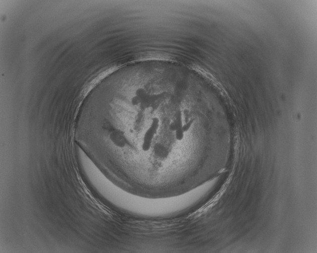 X0000082721121200702091806