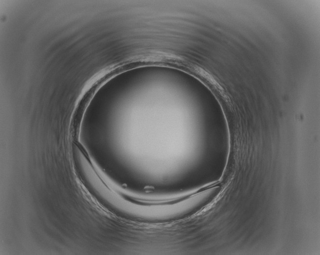 X0000082721122200702091806