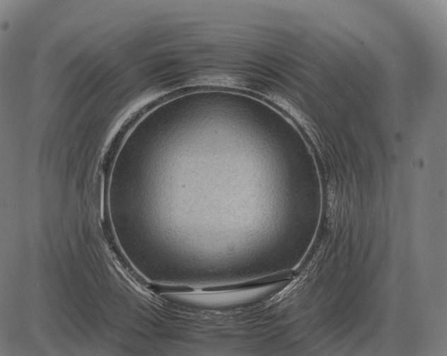 X0000082721123200702091806