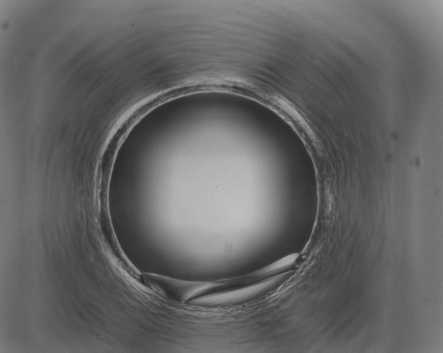 X0000082721124200702091806