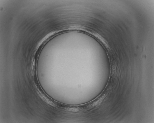 X0000082721126200702091806