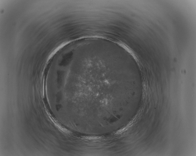 X0000082721127200702091806