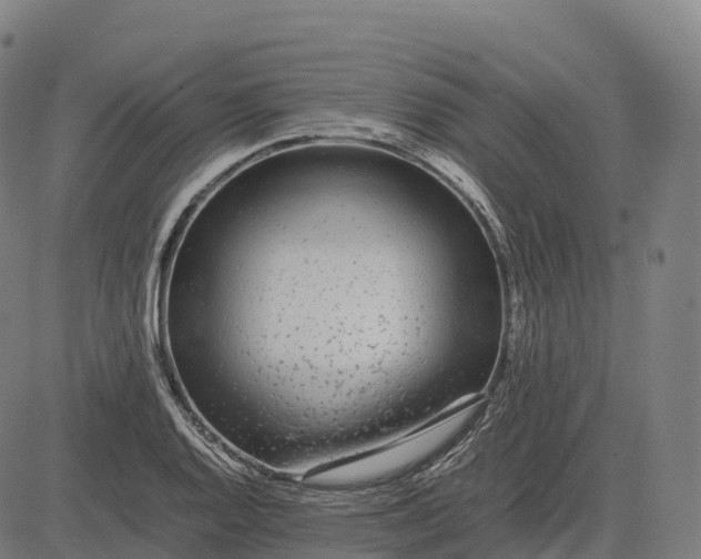 X0000082721128200702091806