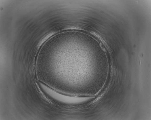 X0000082721129200702091806