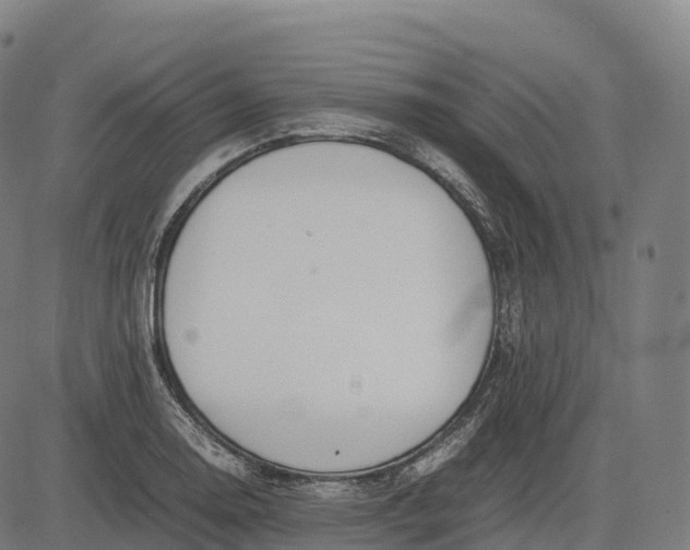 X0000082721130200702091806