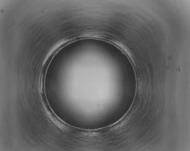 X0000082721131200702091806