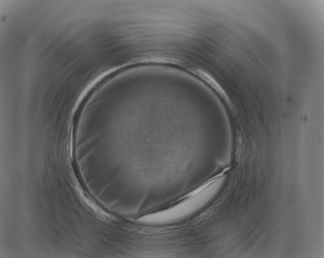 X0000082721132200702091806