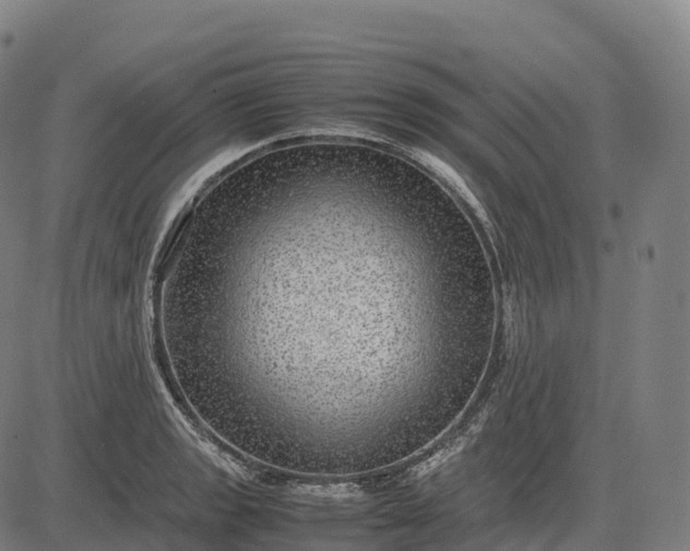 X0000082721133200702091806